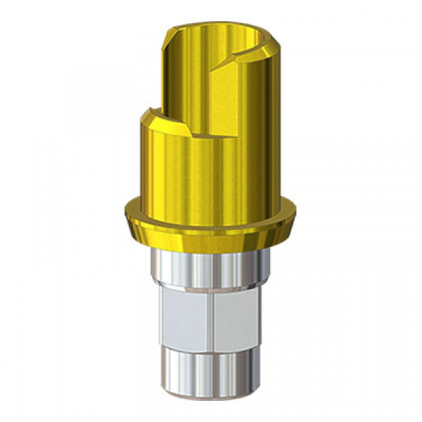 to2744-800x800