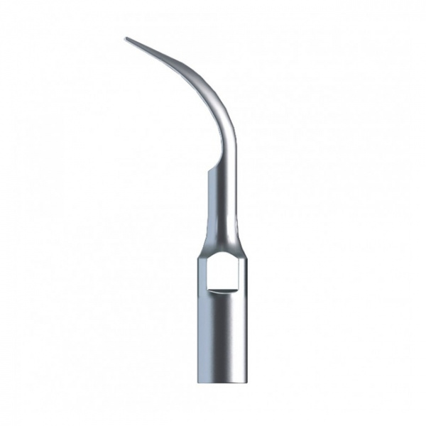 gd2_woodpecker_367-650x650