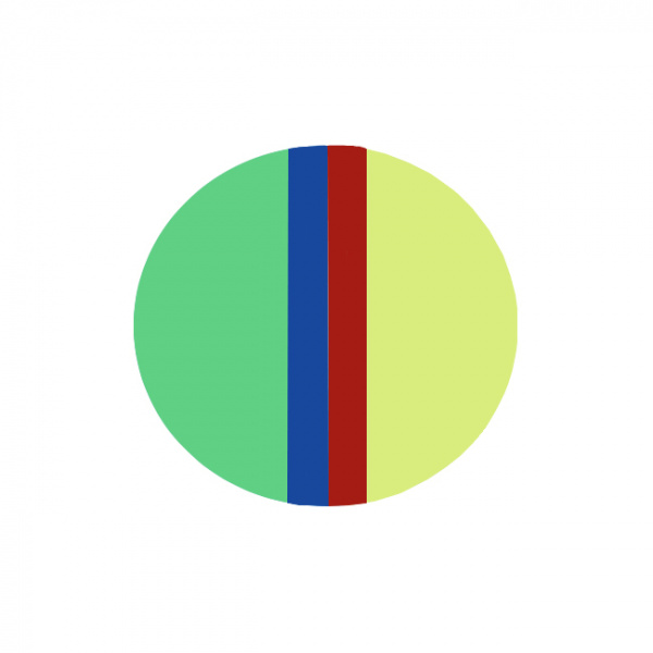 erkoflex_multicoloured_termoformovochnye_plastiny_chetyrehcvetnye_diametr_125_mm_1_sht_357-650x650