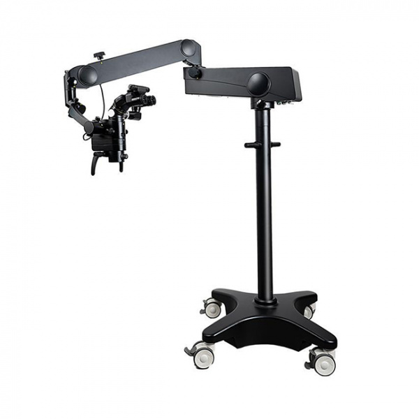 focus-standart-plus-650x650